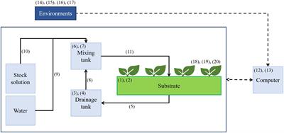 Forecasting Root-Zone Electrical Conductivity of Nutrient Solutions in Closed-Loop Soilless Cultures via a Recurrent Neural Network Using Environmental and Cultivation Information